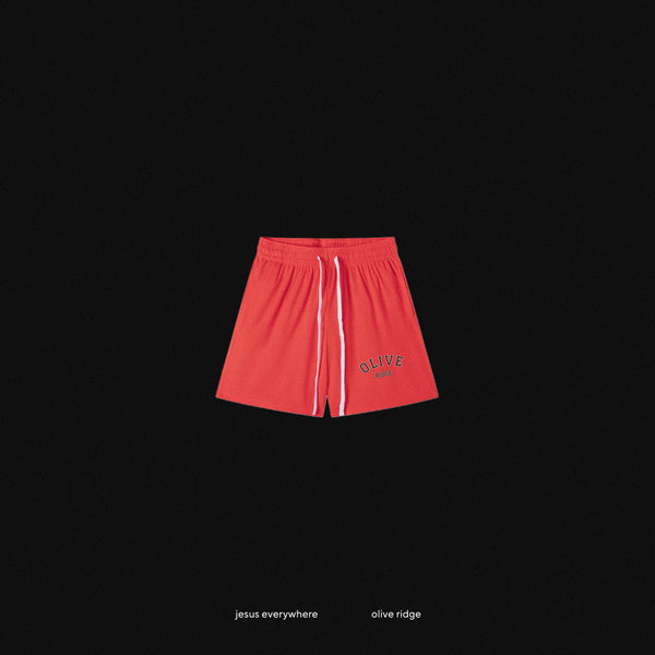 JESUS EVERYWHERE - OLIVE RIDGE MESH SHORTS
