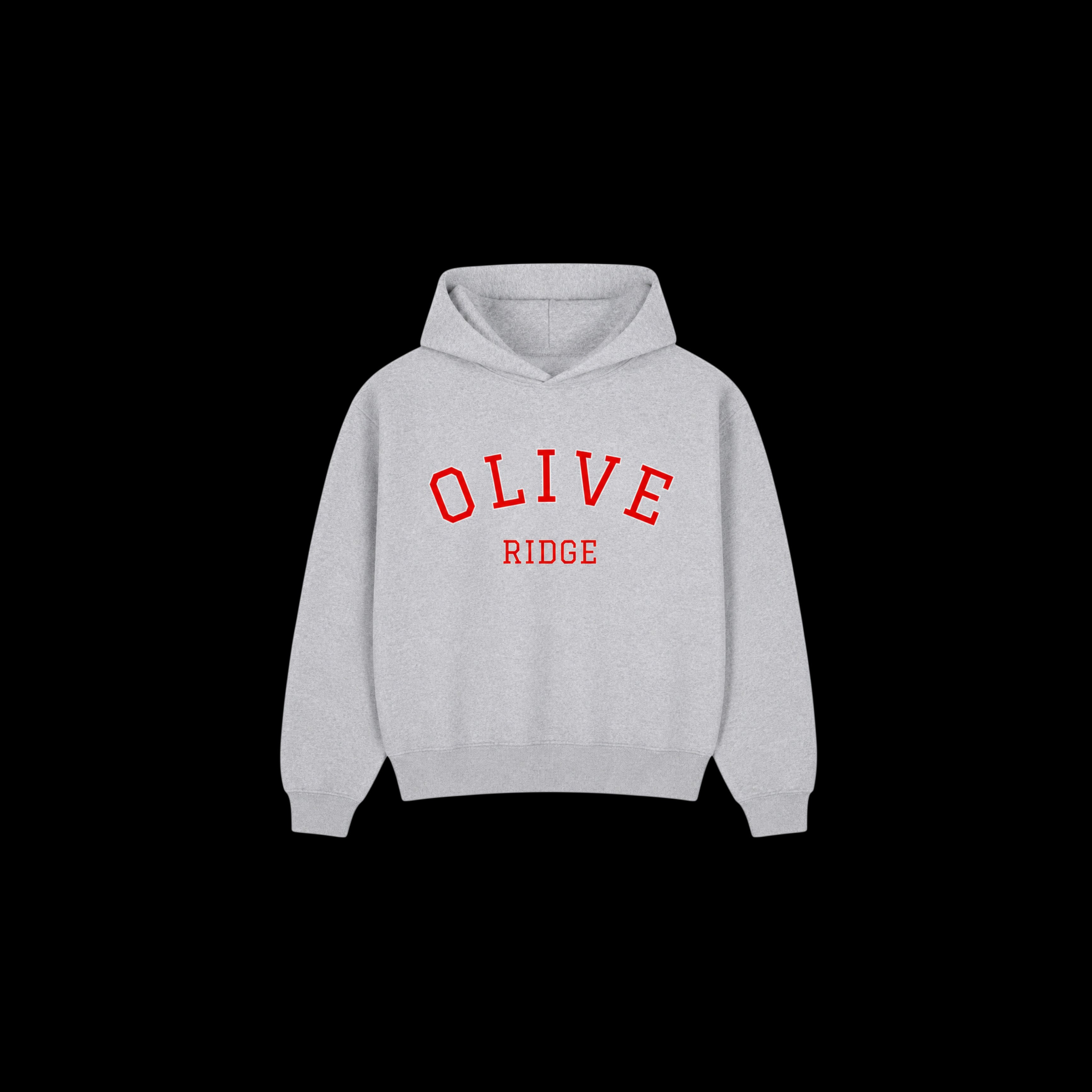 Olive Ridge Varsity Hoodie