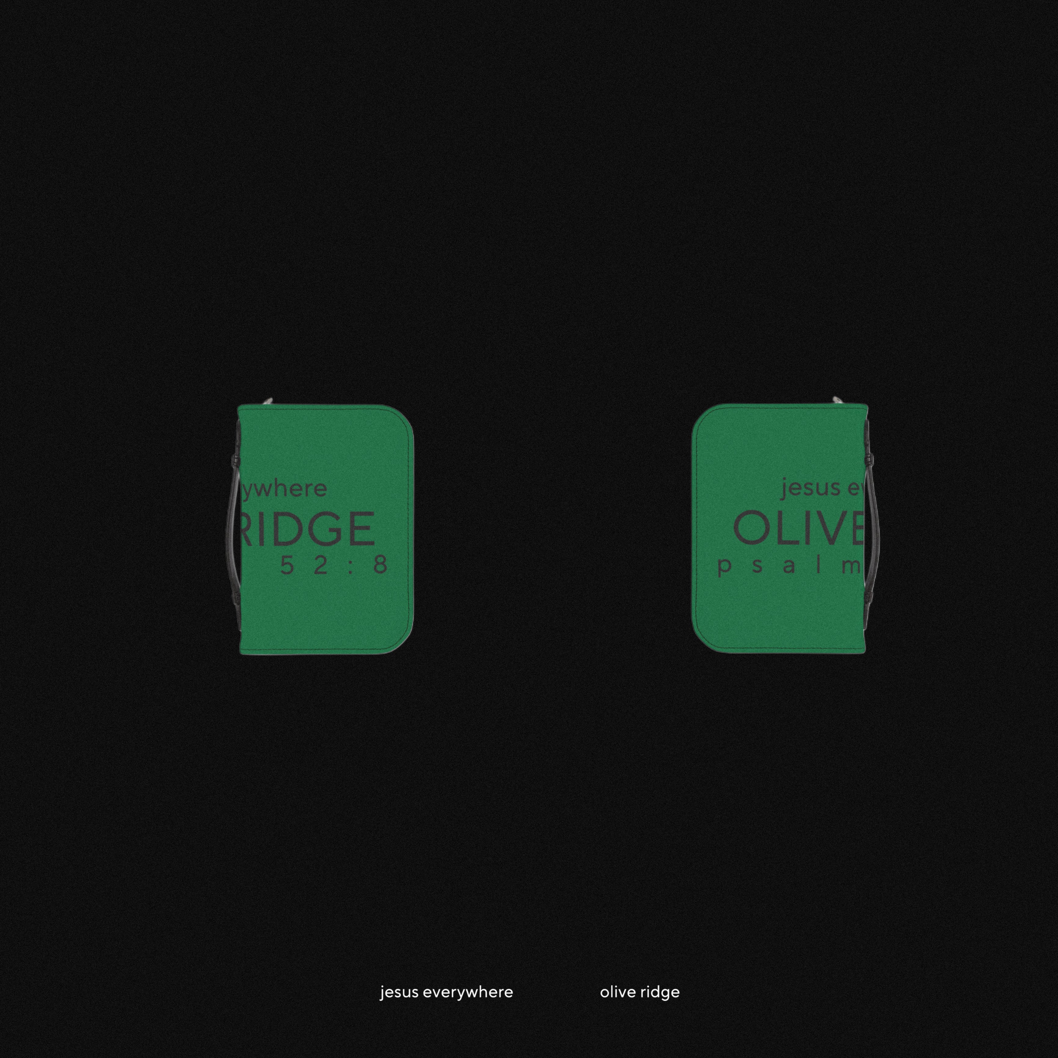Bible Cover