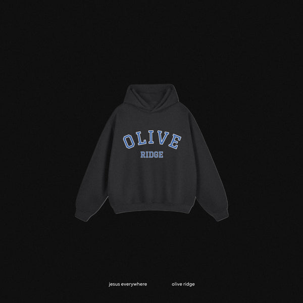 JESUS EVERYWHERE - OLIVE RIDGE VARSITY FLEECE HODDIE